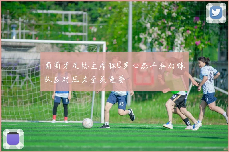 葡萄牙足协主席称C罗心态平和对球队应对压力至关重要