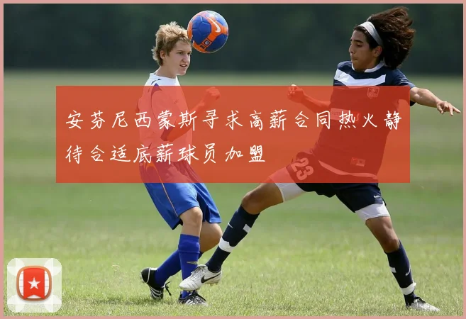 安芬尼西蒙斯寻求高薪合同热火静待合适底薪球员加盟